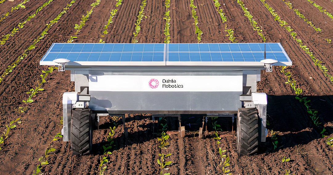 Dahlia Robotics develops robot for mechanical weed removal