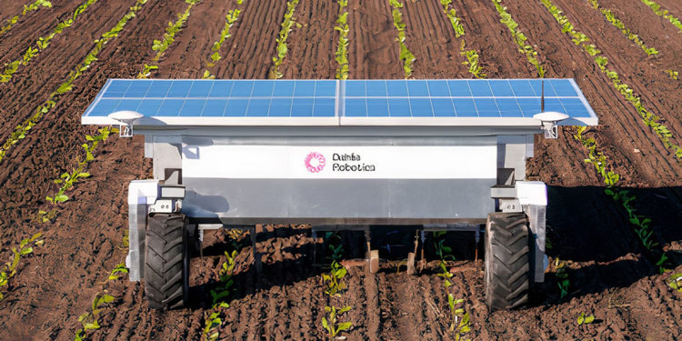 Dahlia Robotics develops robot for mechanical weed removal