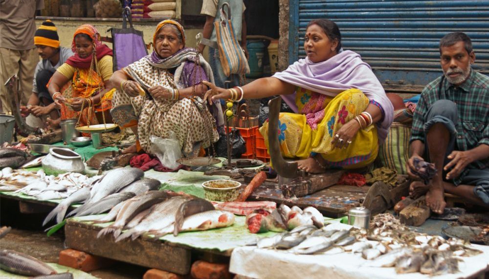 Indian AI Seafood Market Startup Raises $40M