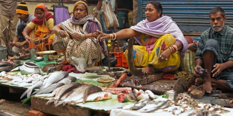 Indian AI Seafood Market Startup Raises $40M