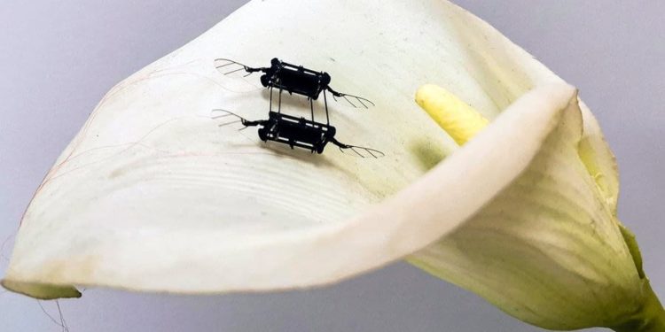 New Technique Improves Performance of Flying Microbots