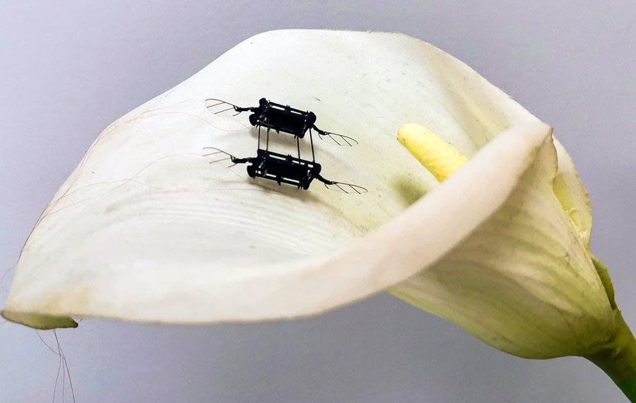 New Technique Improves Performance of Flying Microbots