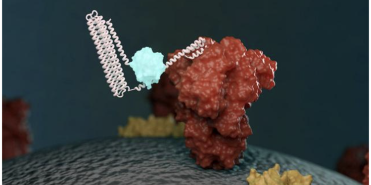 Biosensor startup Monod lands $6M and spins out of Univ. of Washington’s Institute for Protein Design