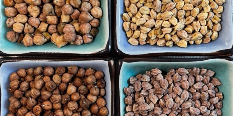 Davis startup releases high-protein chickpea variety