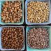 Davis startup releases high-protein chickpea variety