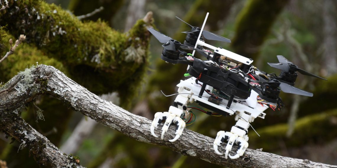 Stanford’s bird-legged bot always sticks the landing