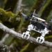 Stanford’s bird-legged bot always sticks the landing