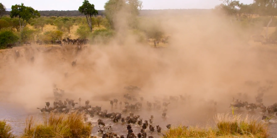 It’s Time To Start Thinking About Robot Swarms