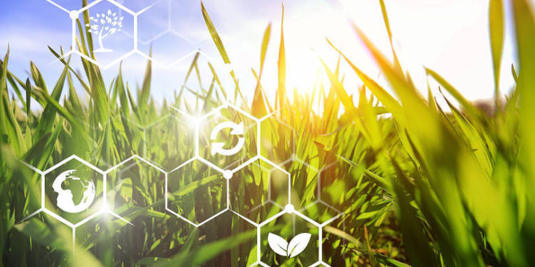 Agritech venture fund Omnivore launches agrifood life sciences-focused fund OmniX Bio