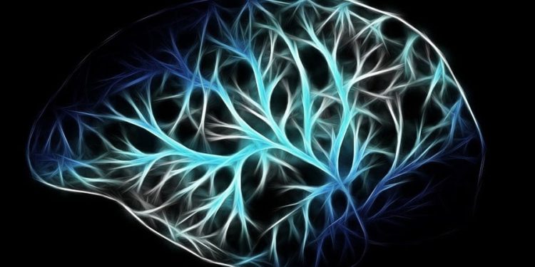 Machine-Learning Program Connects to Human Brain and Commands Robots