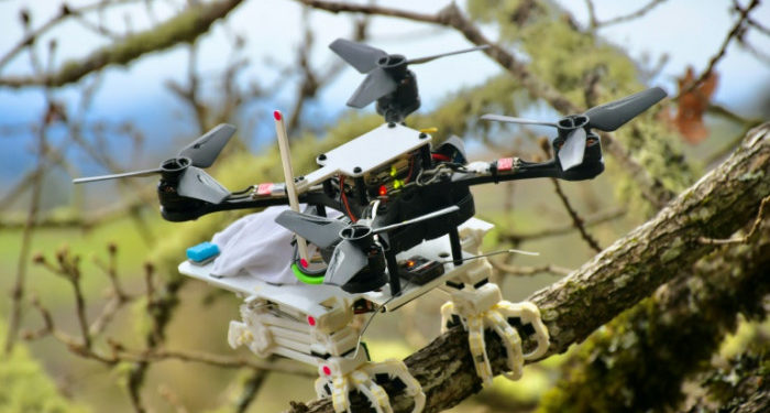 Stanford engineers build bird bots that can perch and grab objects
