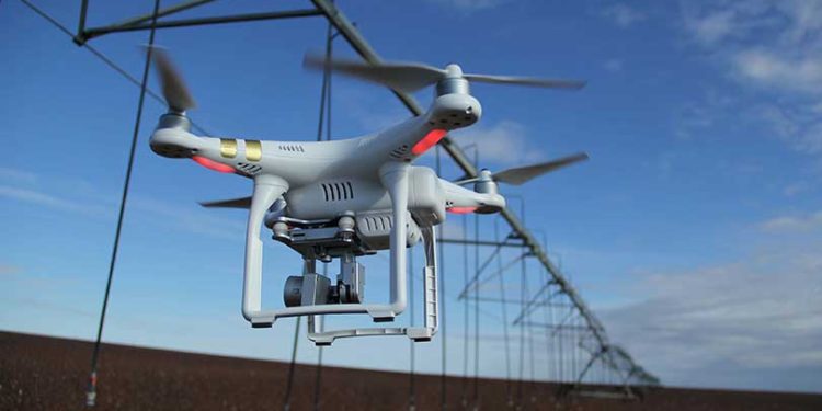 Swarm robotics could help farmers and ranchers