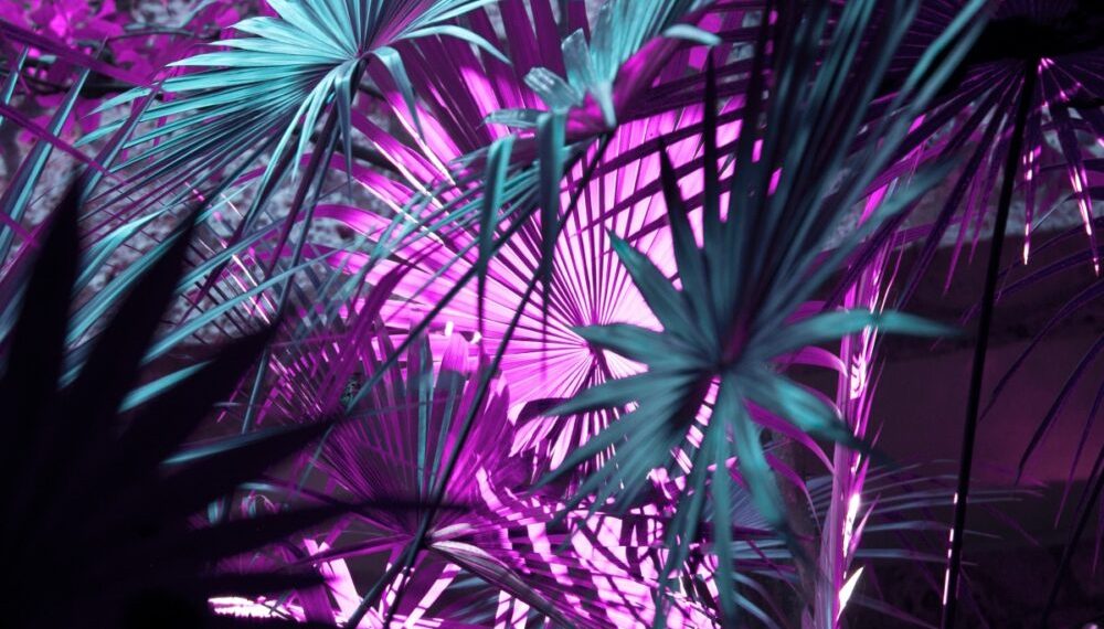 As Solana ecosystem expands, co-founders tackle VC funding criticism