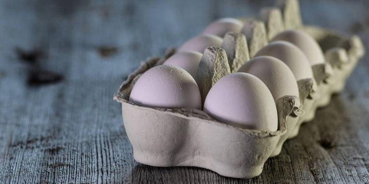 Nabventures, Avaana Capital, others back Eggoz