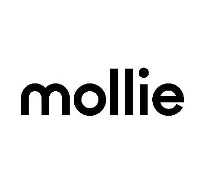 Mollie announces FinTech Centre of Excellence in Maastricht, Netherlands