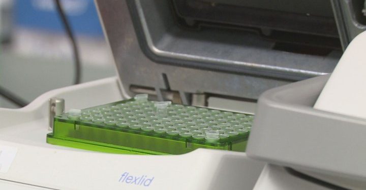 Agri-science startup uses University of Lethbridge facility to analyze crops for fungal infections – Lethbridge