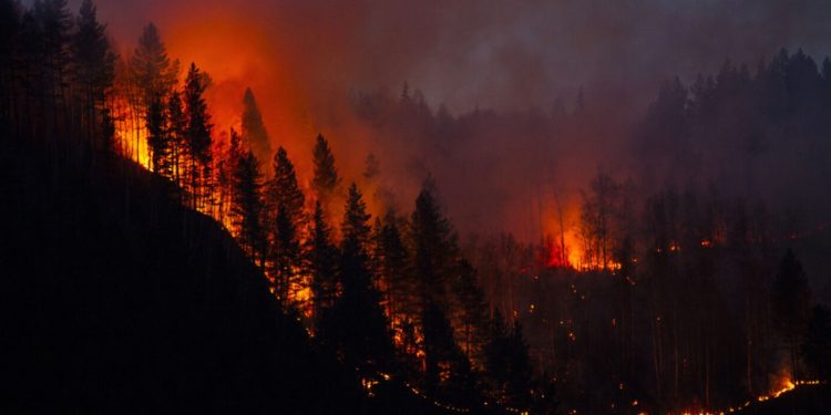 Startup Uses AI, Panoramic Cameras for Wildfire Detection