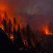 Startup Uses AI, Panoramic Cameras for Wildfire Detection