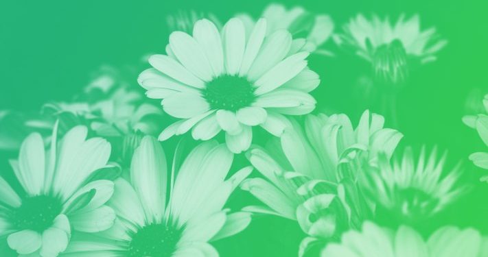 Remembering the startups we lost in 2021 – TechCrunch