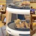 Viral TikTok Of Chili’s Robot Server Sparks Debate