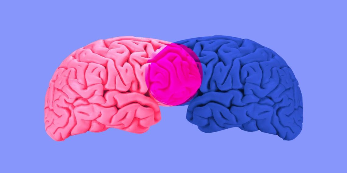 Trivalence unites health tech and fintech