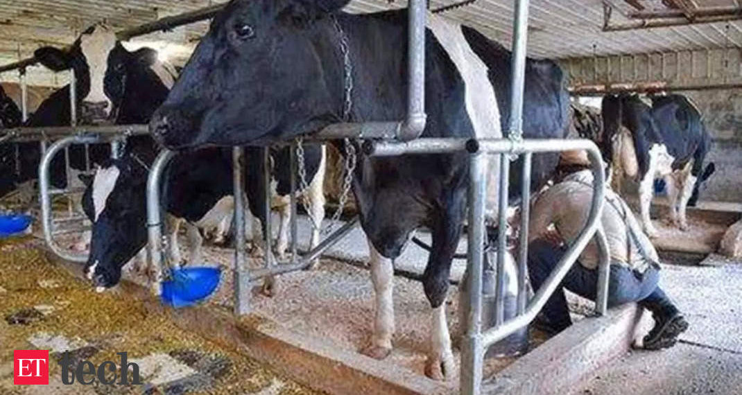 Agritech startup MoooFarm raises $2.4 million in seed funding