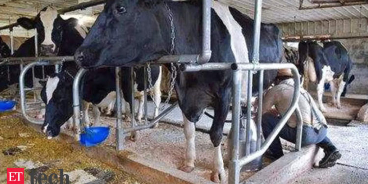 Agritech startup MoooFarm raises $2.4 million in seed funding