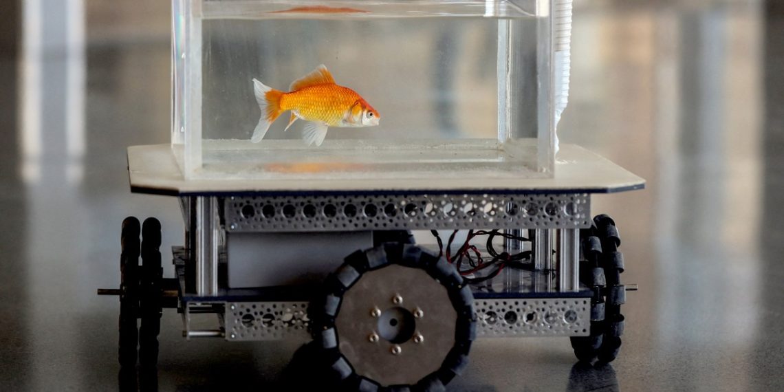 Israeli scientists teach goldfish to drive a robotic car on land