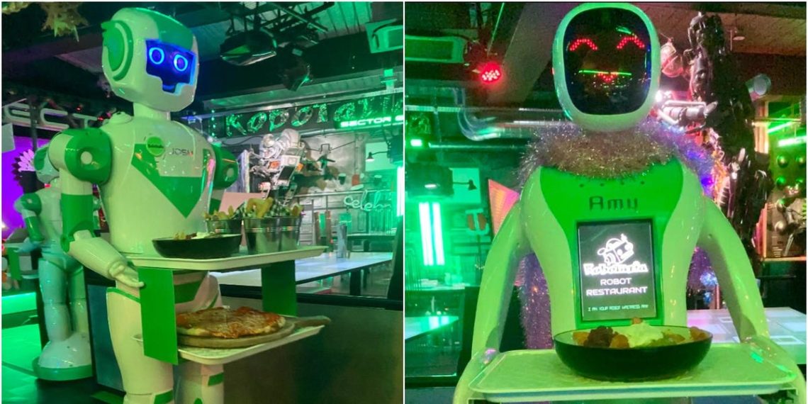 Restaurant Owners Reveal Drawbacks of Robot Servers