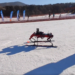 Nation’s 1st skiing robot aces tests