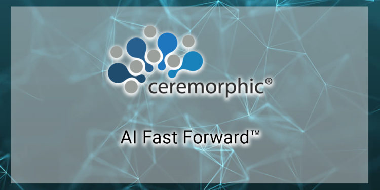 Low-power AI computer chip startup Ceremorphic exits stealth with $50M funding