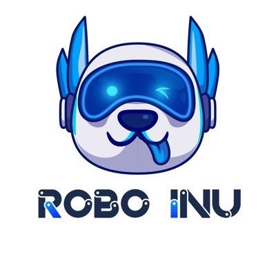 Robo Inu Finance aims to create payment methods using the FinTech industry