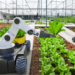 IDTechEx Outlines the Future of the Agricultural Robotics Industry