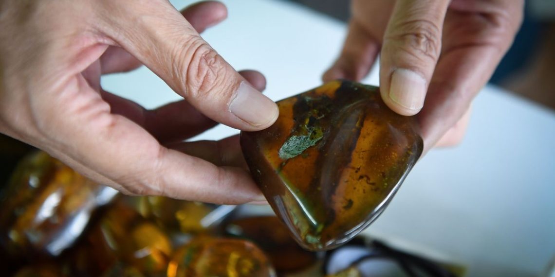 Colonialism still influences the earth sciences today — and that’s a big problem for research