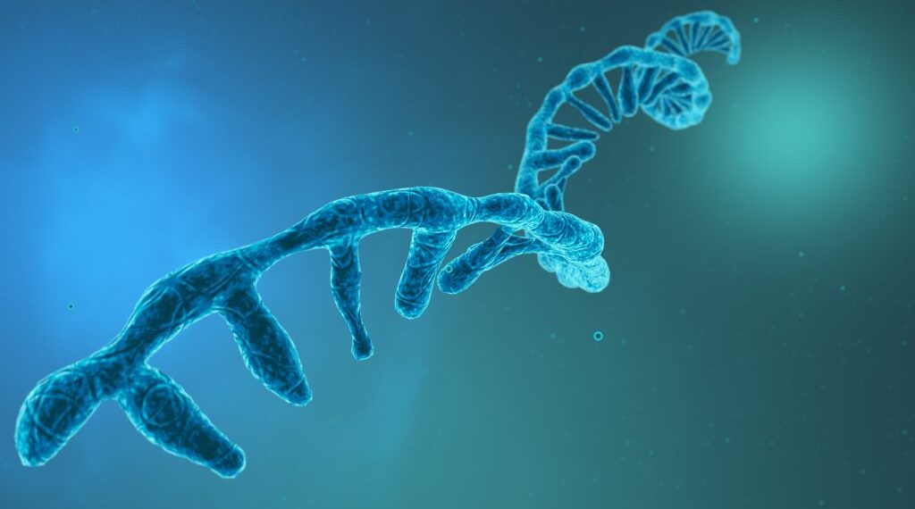 A new RNA-based drug startup launches with Rutgers science