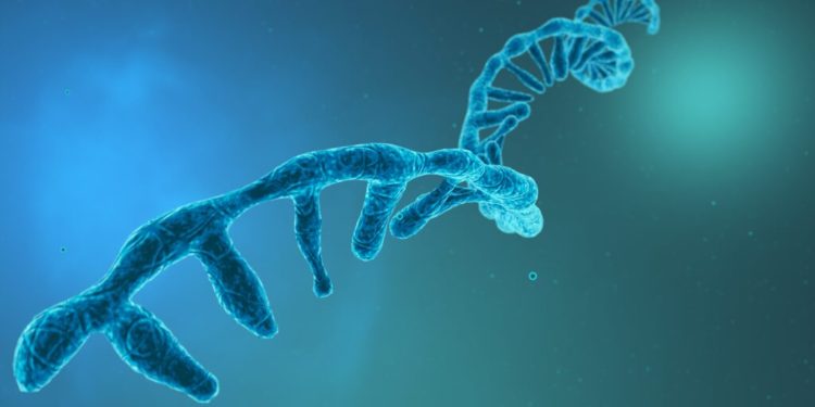 A new RNA-based drug startup launches with Rutgers science