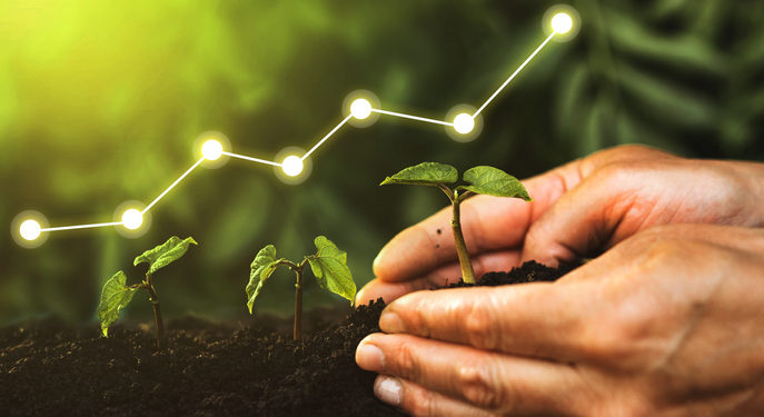 DLG backs Danish insect protein startup business