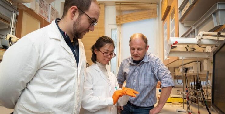 Researchers Develop “Microrobots” That Create Their Own Bone