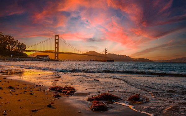 2022 VC predictions, how to hook an angel, product advisory councils – TechCrunch