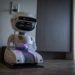 The coolest robots you can buy today