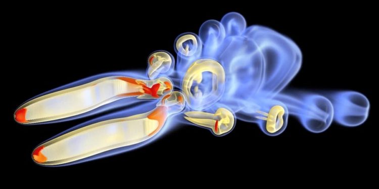 Bio-Inspired Underwater Devices & Swarming Algorithms for Robotic Vehicles