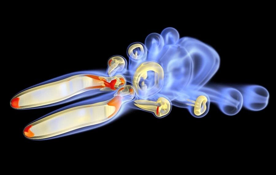 Bio-Inspired Underwater Devices & Swarming Algorithms for Robotic Vehicles