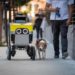 Serve Robotics’ new autonomous sidewalk delivery robots don’t require human assist – TechCrunch