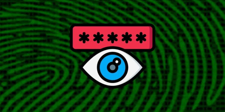 BHUNT password stealer targets crypto wallets through cracked software