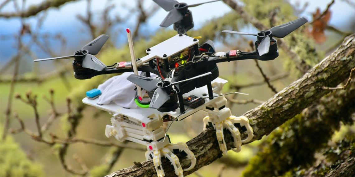 Robotic Drones Can Now Fly, Stop and Perch Just Like Birds