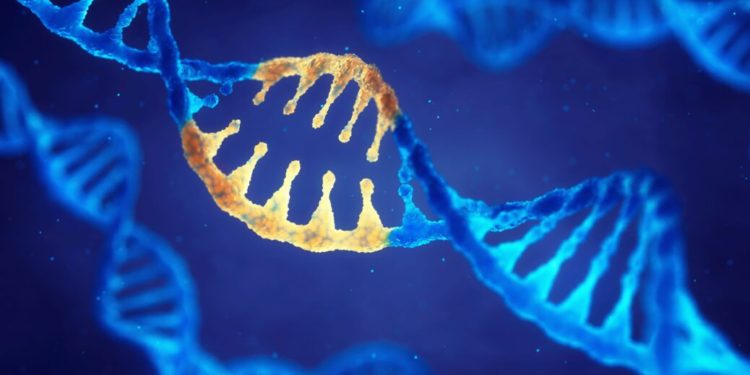 Over $1bn raised in venture capital funding for gene editing in 2021