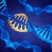 Over $1bn raised in venture capital funding for gene editing in 2021