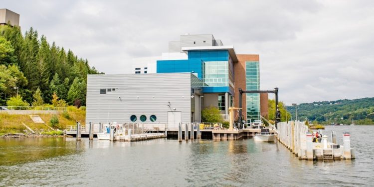 Q&A with the Great Lakes Research Center’s Timothy Havens
