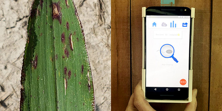 Ag-Celerator fund invests $200,000 in two agriculture startup companies