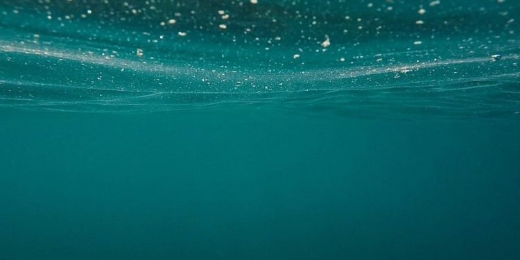 Engineers Design Robots to Fight Invasive Fish